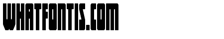 Elastic Lad Condensed