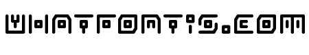 Neon Circuit Bold