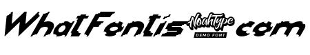 Head Kick Demo Italic