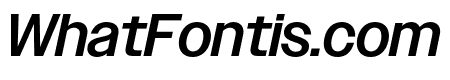 Owners XXNarrow Medium Italic