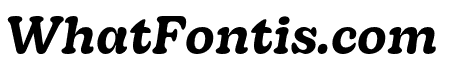 Decoy Medium Italic