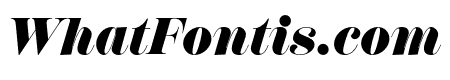 Scotch Display Compressed Fat Italic