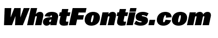 Balto Super Italic