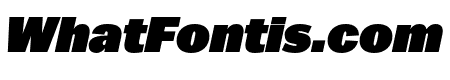 Balto Ultra Italic