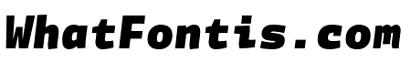 Divenire Mono Black Italic