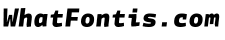 Divenire Mono ExtraBold Italic