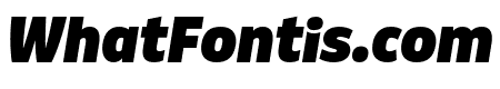 Puffin Display Black Italic