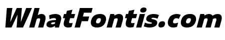Puffin ExtraBold Italic