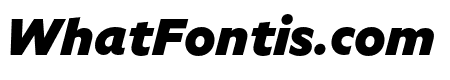 Specter Black Italic