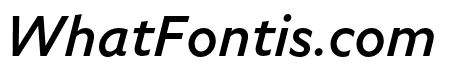 Specter Medium Italic