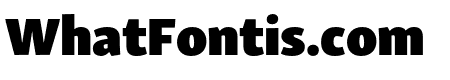 Skolar Sans Arabic Black