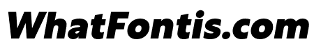 Rustica Black Italic