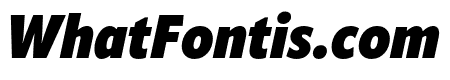 ApparatCond Heavy Italic