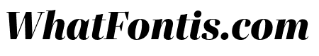 Quinn Display Black Italic