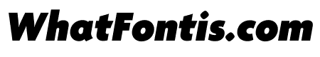 Agenda One Condensed Black Italic
