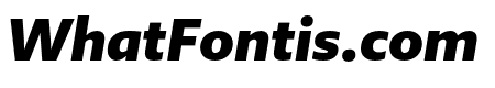 Brando Sans Black Italic