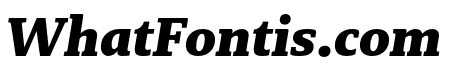 Brando Black Italic