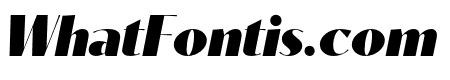 Contralto Big Black Italic