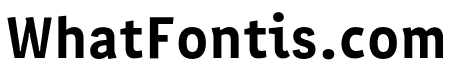 Interpol Correspondence Bold