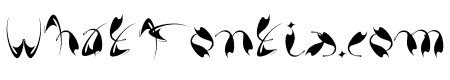 Swush_New Fett2
