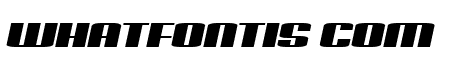 Possession Book Italic