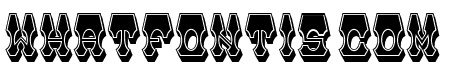 Quadri Regular