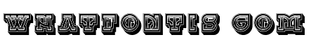 Chinese Zodiac Regular