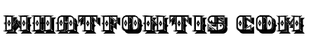 Santa Claus Standard Regular