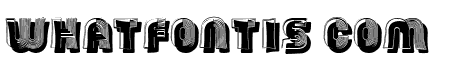 Company Regular