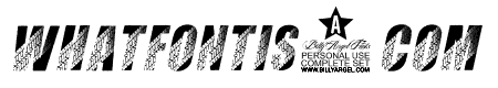 TIRES ITALIC PERSONAL USE Bold Italic