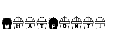 NN Cactus