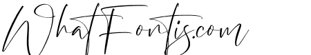 Patrick Rastelo Italic