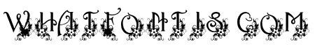 Ornament Monogram