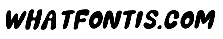 BIGGER SUMMER FEST Italic