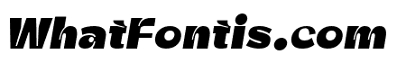 Zt Shago Black Italic