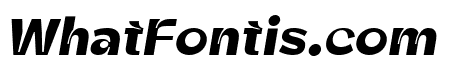 Zt Shago Bold Italic