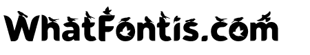 Black Bird