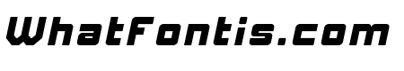 Elite Mind Italic