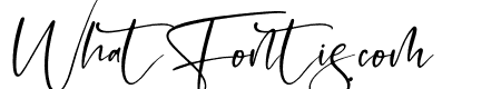 Hostela & Rocky Italic