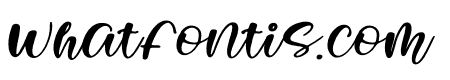 Dream Bear Italic