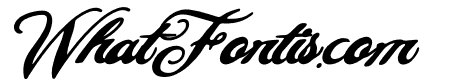 Angelina Beautiful Italic