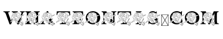 Carnation MNGRM