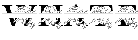 Carnation MNGRM Split