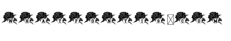 Carnation Mono