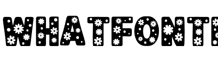 Daisy Inside