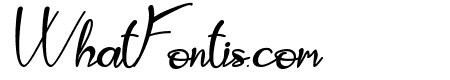 leodra Italic