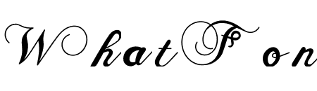 Remini Script