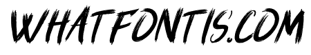 Stargazer-Italic