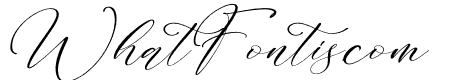 Dantony Holanda Italic
