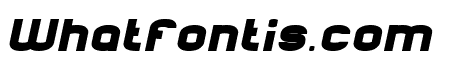 ARCHITECTURE-Bold Bold Italic